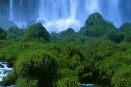 一个人，一个人，一个人图片