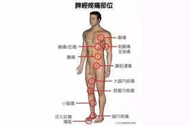 五脏六腑疼痛区域高清图，生病了该按哪里，标得一清二楚，超实用图片