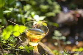 芷兮课堂‖每天一杯茶，欢度佳节更健康图片