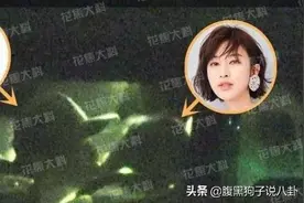 被爆恋情却引出离奇命案，张俪这次到底需不需要看眼科？图片
