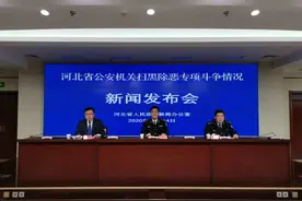 刚刚！河北省通报6起涉黑涉恶典型案例图片