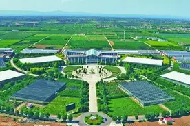 杨凌：财政“活水”浇灌强农富民之花图片