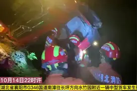 心大：司机坠渠竟然呼呼大睡图片