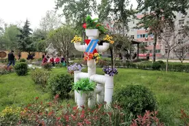 邯郸市复兴区建“绿美复兴”，为“两会”添彩！第十八期图片