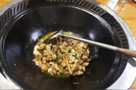 柴火鸡为什么注定短命？图片