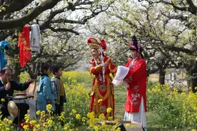 春有约 花不误！今天，中国·丰县第22届梨花节开幕了……图片