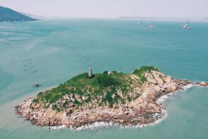 假的花胶吃了以后 2026年花胶假的吃了会怎样