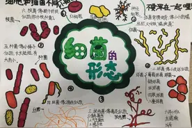 我为《细菌世界历险记》画插图——记厦门五缘实验学校六年级科学组校园读书节活动图片