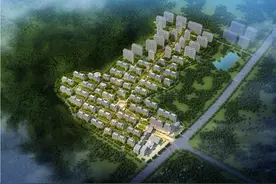 这一次，绿城没有秘密图片