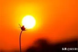 人生，只能靠自己图片