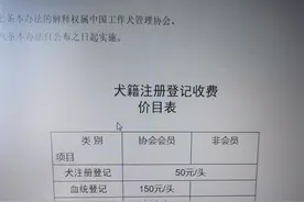 安阳“狗咬人”事件中工作犬证是啥证？新黄河调查：注册费50元代办要3000元，背后藏黑产图片