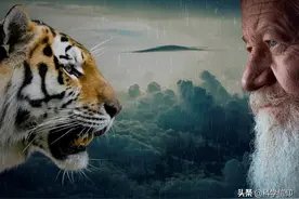 人类真是地球之主吗？如果动物联手攻击人类，人类还真是扛不住图片