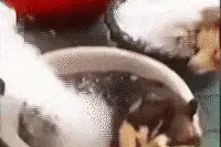 搞笑GIF：二哈是这样降暑的，人不如狗啊图片