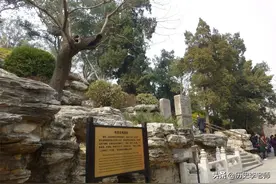 从现代人角度看：崇祯该怎么做，才能实现翻盘？必须具备一项能力图片
