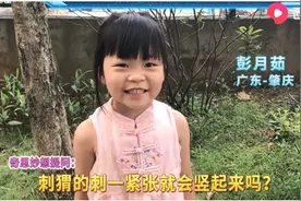 刺猬的刺为什么这么硬？西瓜视频告诉你真相图片