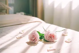 真正的好婆婆，从不“惯着”你图片