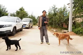 7旬大叔家20年橘子树今年开花不结果，灵芝长得巴掌大，啥情况图片