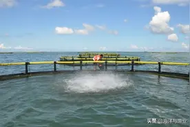 农业农村部印发《渔业安全生产专项整治三年行动工作方案》图片