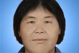 人贩子抢劫案件发生始末 梅姨的真实相貌图片