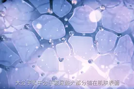 听说过玻尿酸给宠物用吗？怎么用？图片