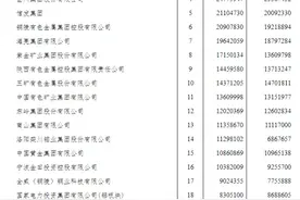 全国有色金属工业50强，辽宁一企业上榜图片