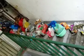 “整整拉了8卡车！” 男子遭邻居告上法庭图片
