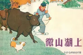 连环画《微山湖上》，绘画韩伍图片