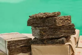 来自普洱茶砖文化的探秘图片