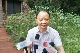 特例还是惯例—迷之杭州东方文化园系公司重整图片