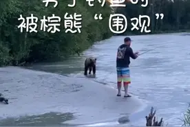心机熊围观男子钓鱼，“守株待兔”半路劫走大鱼图片