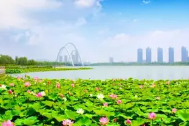 开封西湖摘牌图片