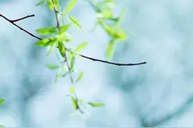 阳春布德泽，万物生光辉~绵阳市乡村旅游精品线路出炉，快跟着小编一起“复得返自然”！图片