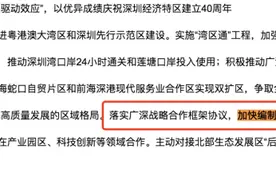 2020年，深圳“扩容”预期高涨，东莞城区备案价已破4万！图片