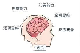 男女思维的差异在哪里？深入了解各自的“脑回路”，成为沟通高手图片