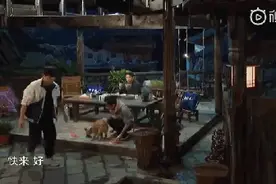 菜吧：我养的不是狗，是没有感情的吃饭机器图片