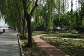 诗情画意，如痴如醉的美景图片