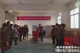 世界粮食日｜镇平：更好生产 更好营养 更好生活图片