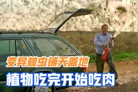 灾难电影：变异蝗虫逃出实验室，植物吃完了，开始吃肉图片
