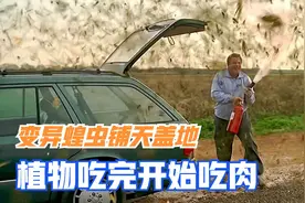 灾难电影：变异蝗虫逃出实验室，植物吃完了，开始吃肉图片