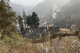 父亲是儿登天的梯图片