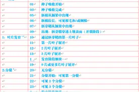 「推荐收藏」72张高清图解麦类作物生长阶段图片