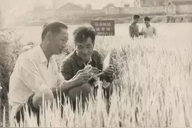 袁隆平伟大在哪儿？图片