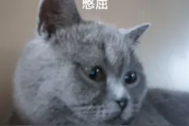 路过学校工地，被飞来的石头砸伤头部，现在伤口处长不出头发，我能索赔吗？图片