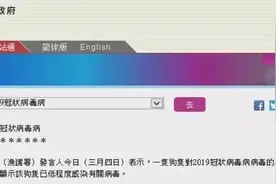 猫感染新冠会传染人？别慌，病毒学家的解读来了图片