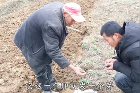 农村新致富项目，一亩地要投资多少钱，比种地还划算，听大爷咋说视频封面