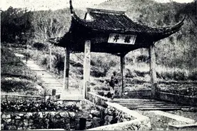 你不知道的龙井茶历史（中）图片