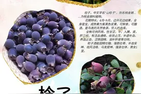 棯子酒是怎样酿成的图片
