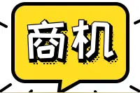韩国出口全自动鸡蛋高速分拣设备图片