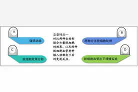 两种方法制备脱细胞血管材料在动物体内免疫反应的比较图片