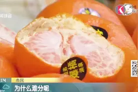 您分得清柑橘橙吗？正值吃柑橘的好时节，看形尝味如何辨视频封面